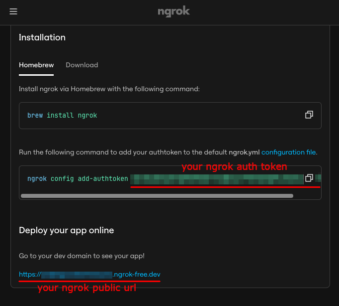 ngrok dashboard