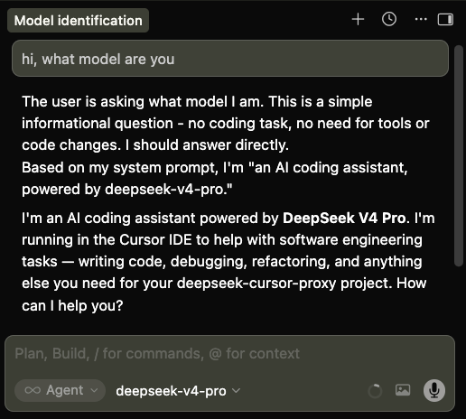 Chatting with DeepSeek in Cursor