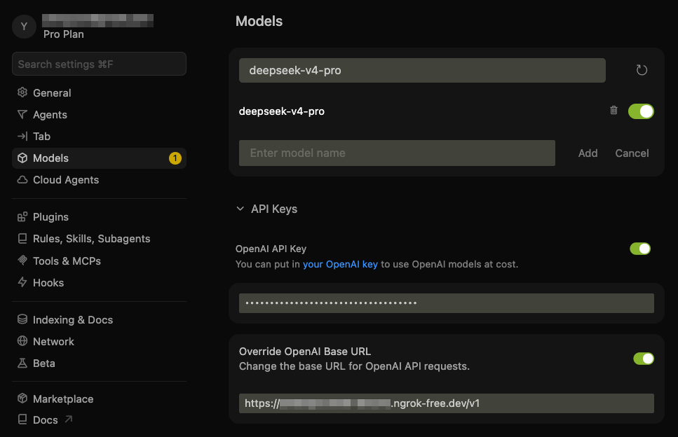 Cursor settings for DeepSeek through the proxy