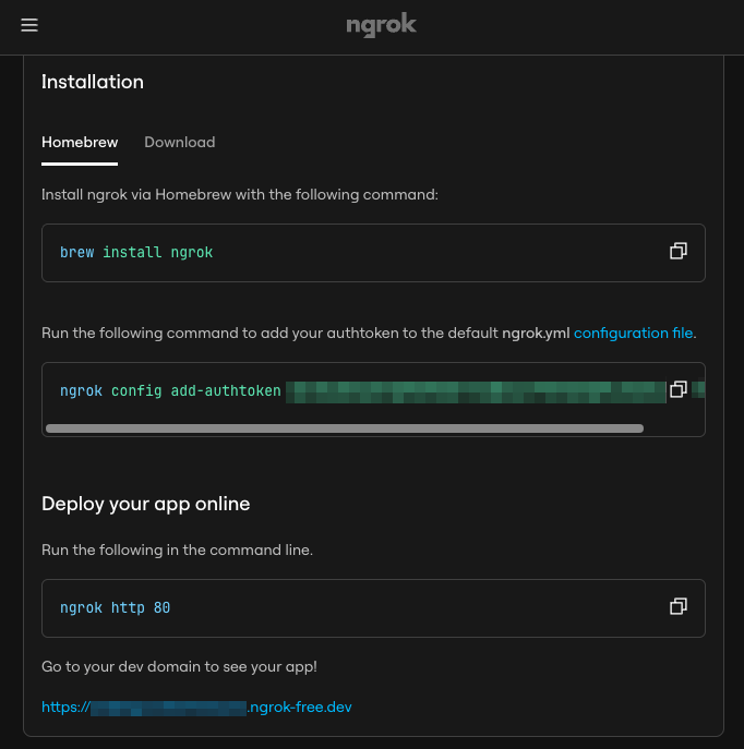 ngrok dashboard